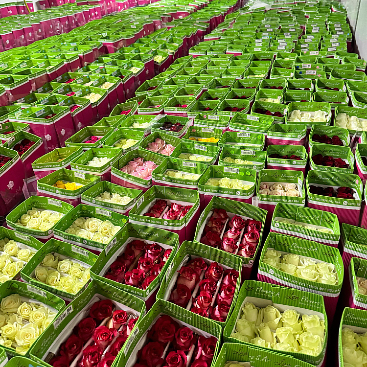 Finalizing packaged flower shipments